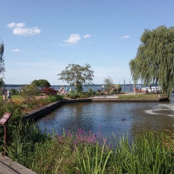 Blumen_Ferienwohnung_am_see3